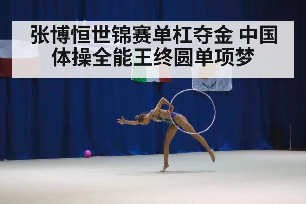 张博恒世锦赛单杠夺金 中国体操全能王终圆单项梦